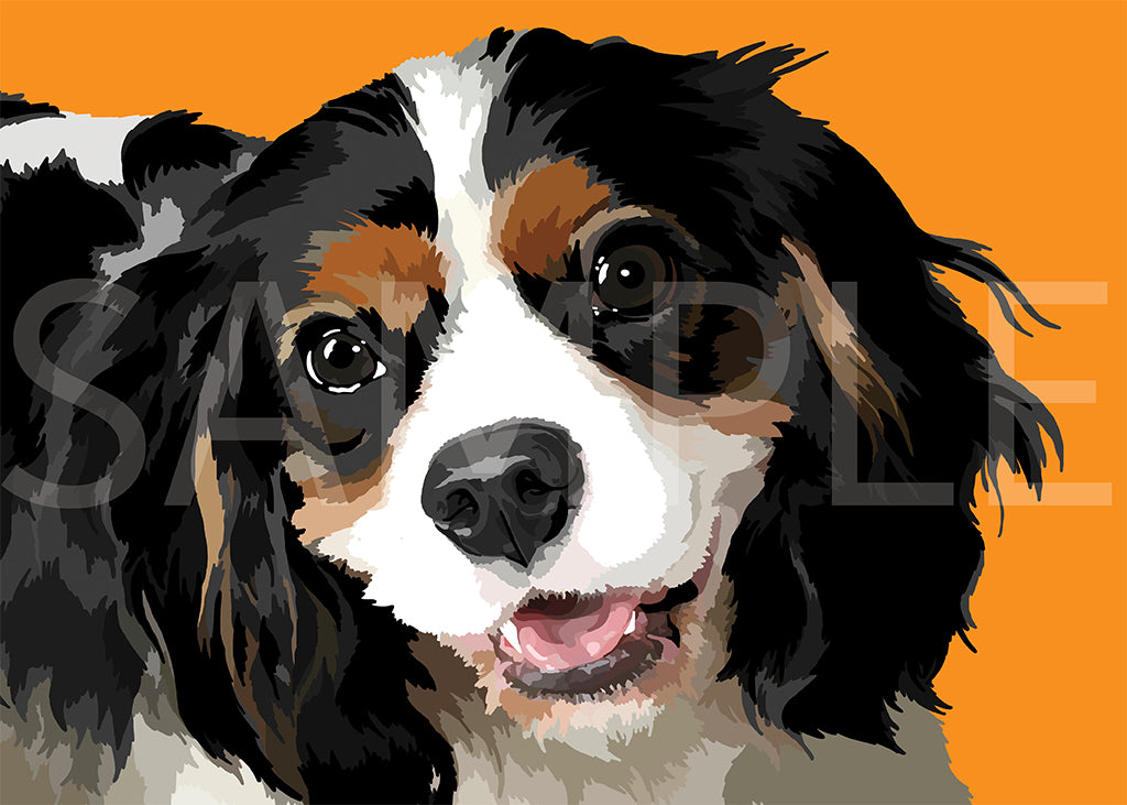 Cavalier King Charles Spaniel