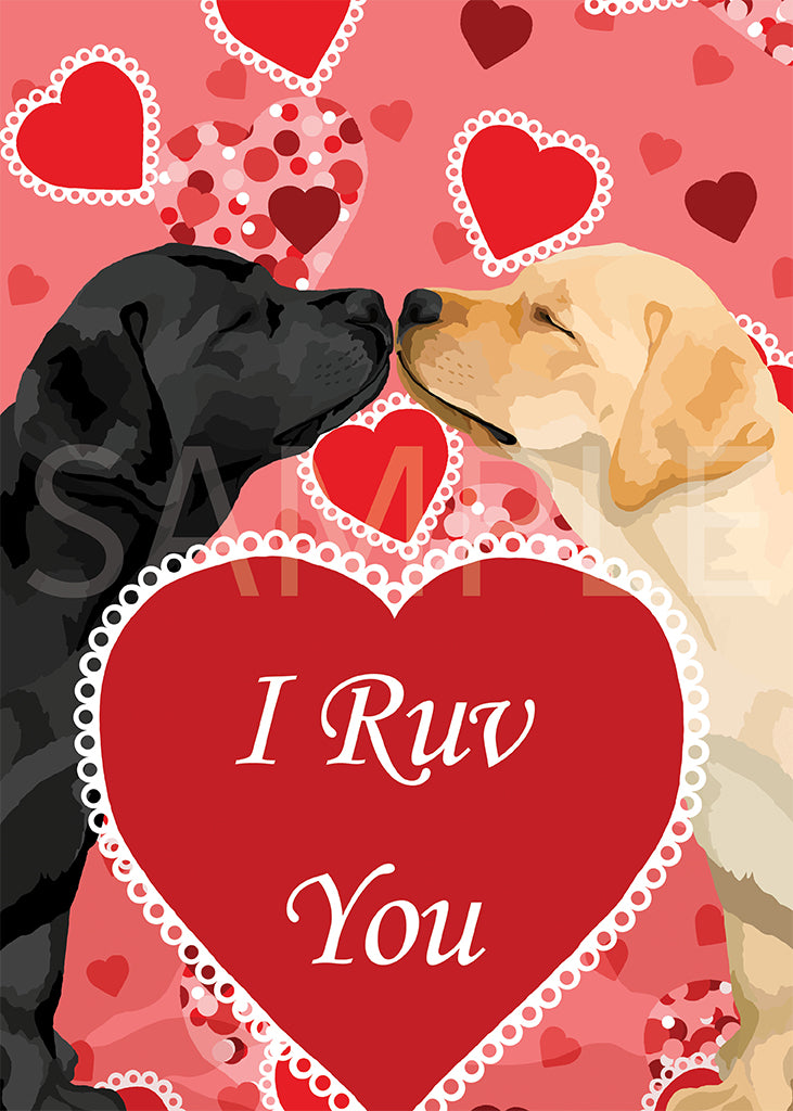 Labrador Retriever Black and Yellow