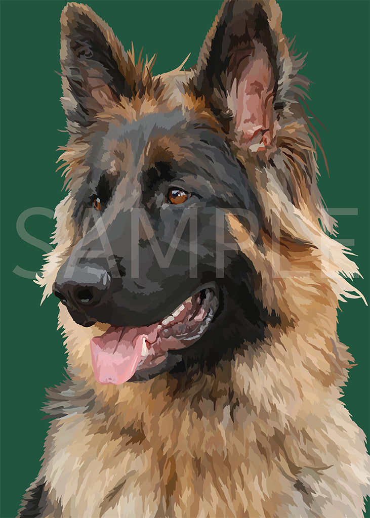 German Shepherd Long Hair