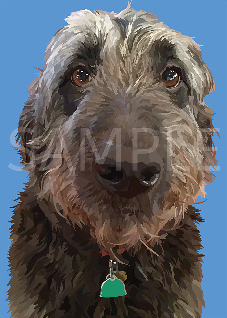 Labradoodle