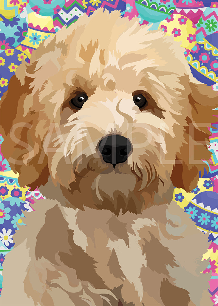 Goldendoodle