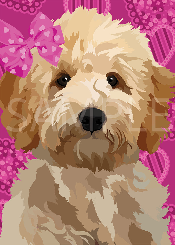 Goldendoodle