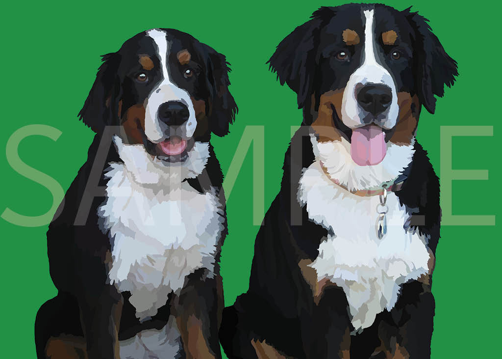 Bernese Mountain Dogs
