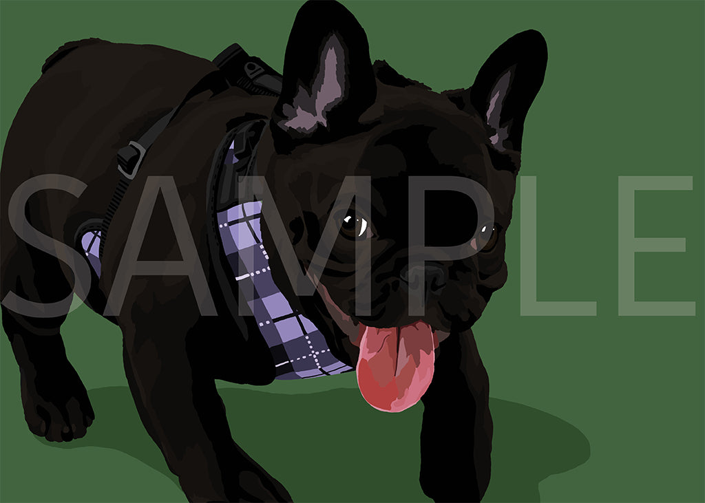 French Bulldog Black 