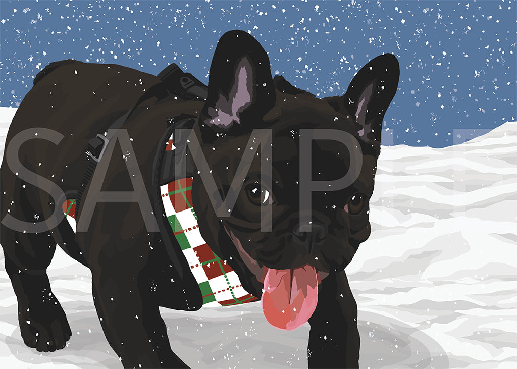 French Bulldog Black 