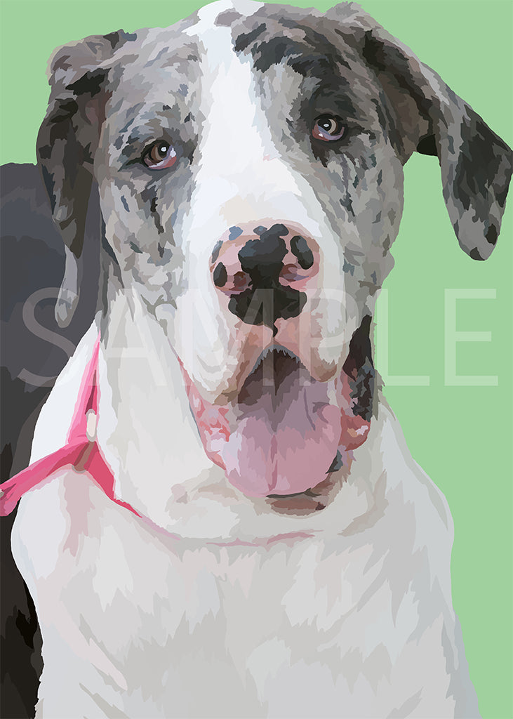 Great Dane