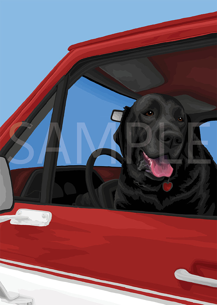 Labrador Retriever Black