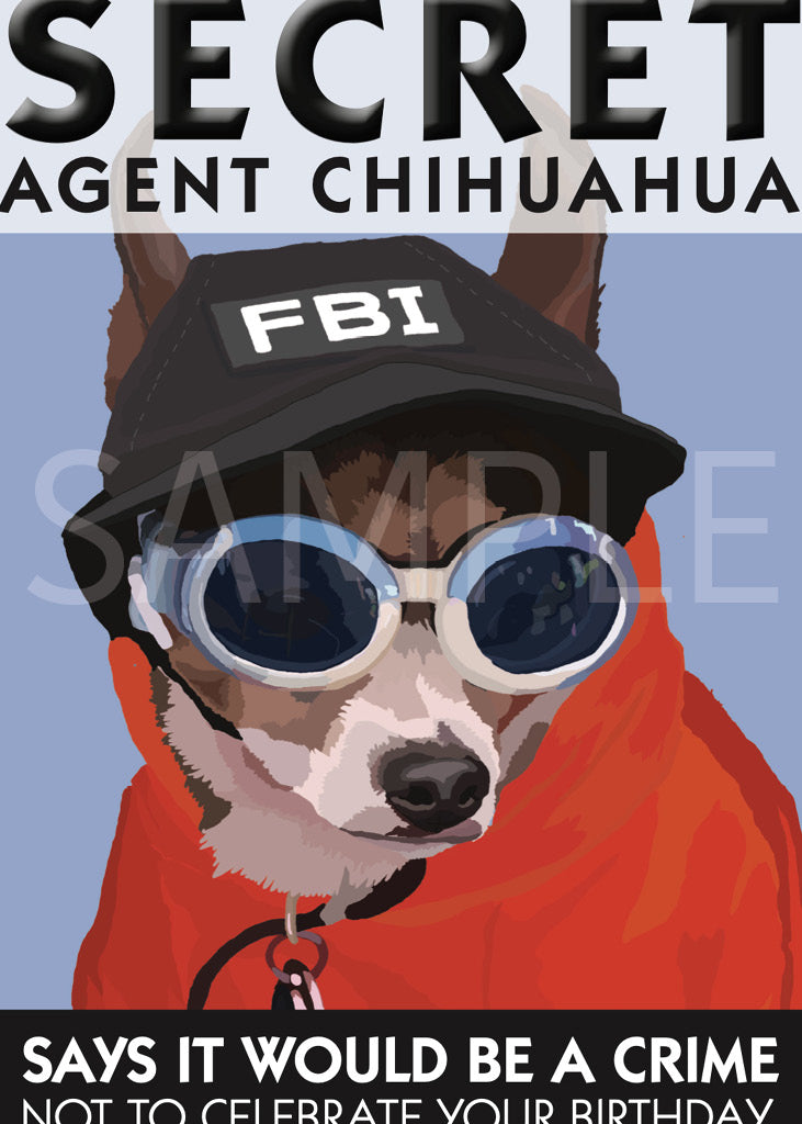 Chihuahua Short Hair