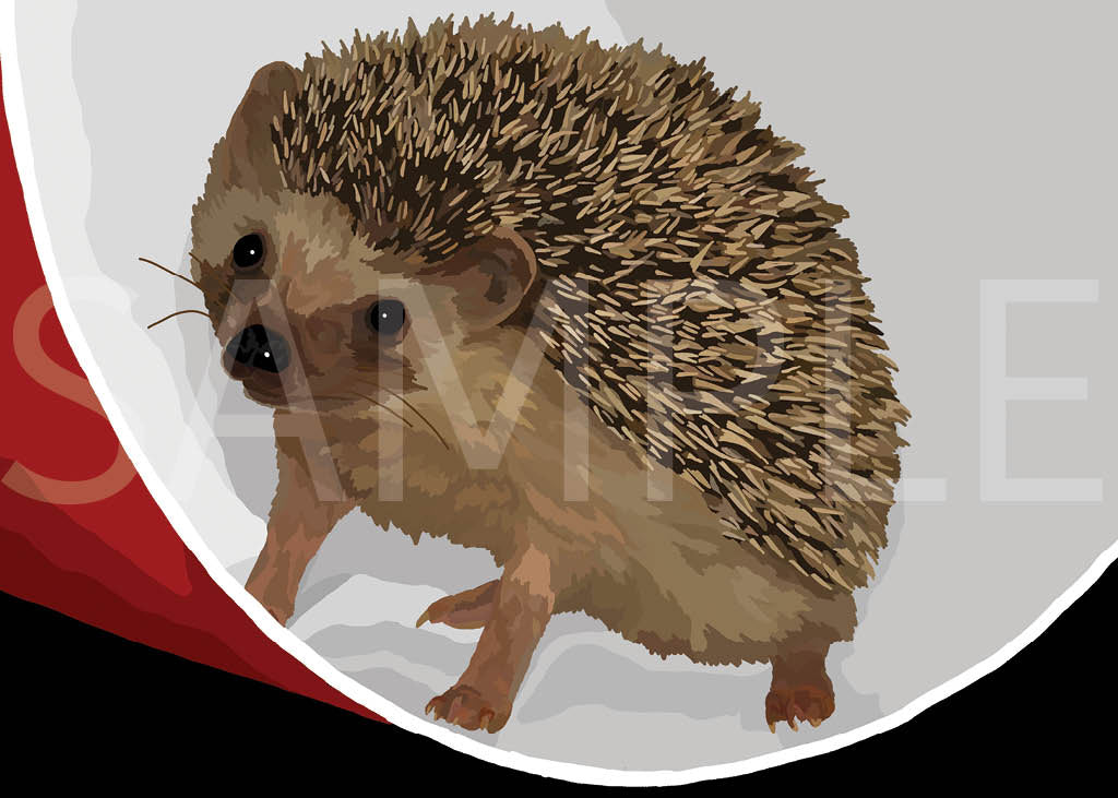 Hedgehog