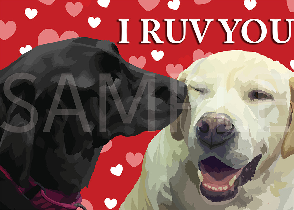 Labrador Retriever Black and Yellow