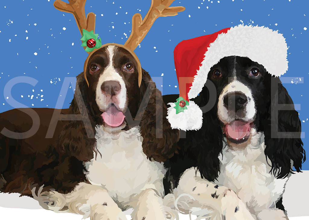 English Springer Spaniel