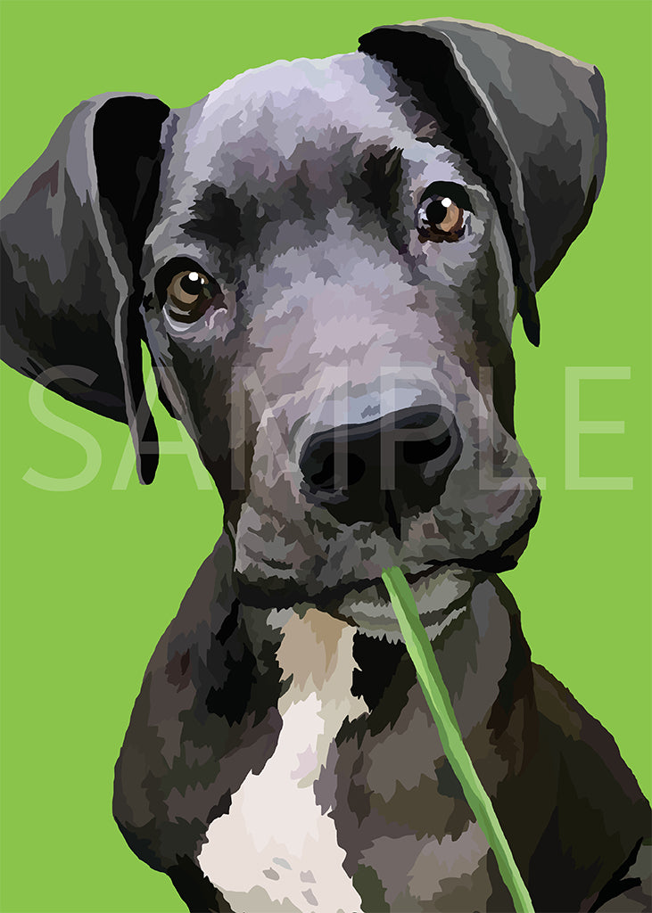 Great Dane