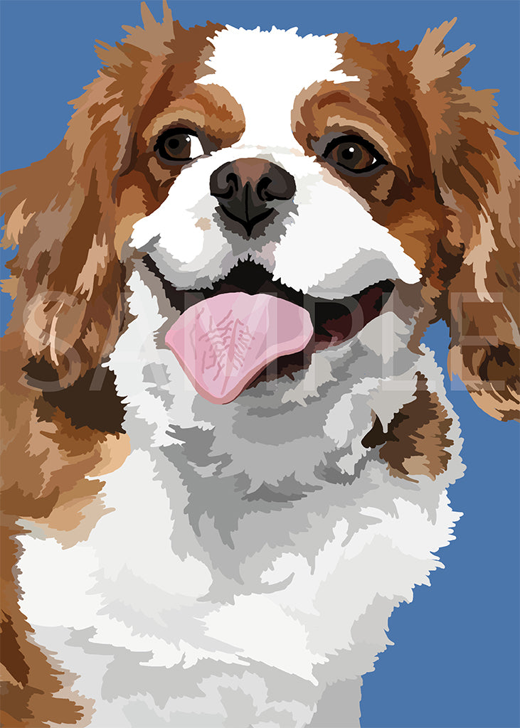 Cavalier King Charles Spaniel