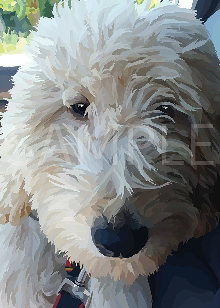 Goldendoodle