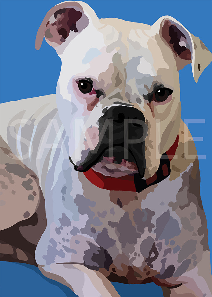 American Bulldog
