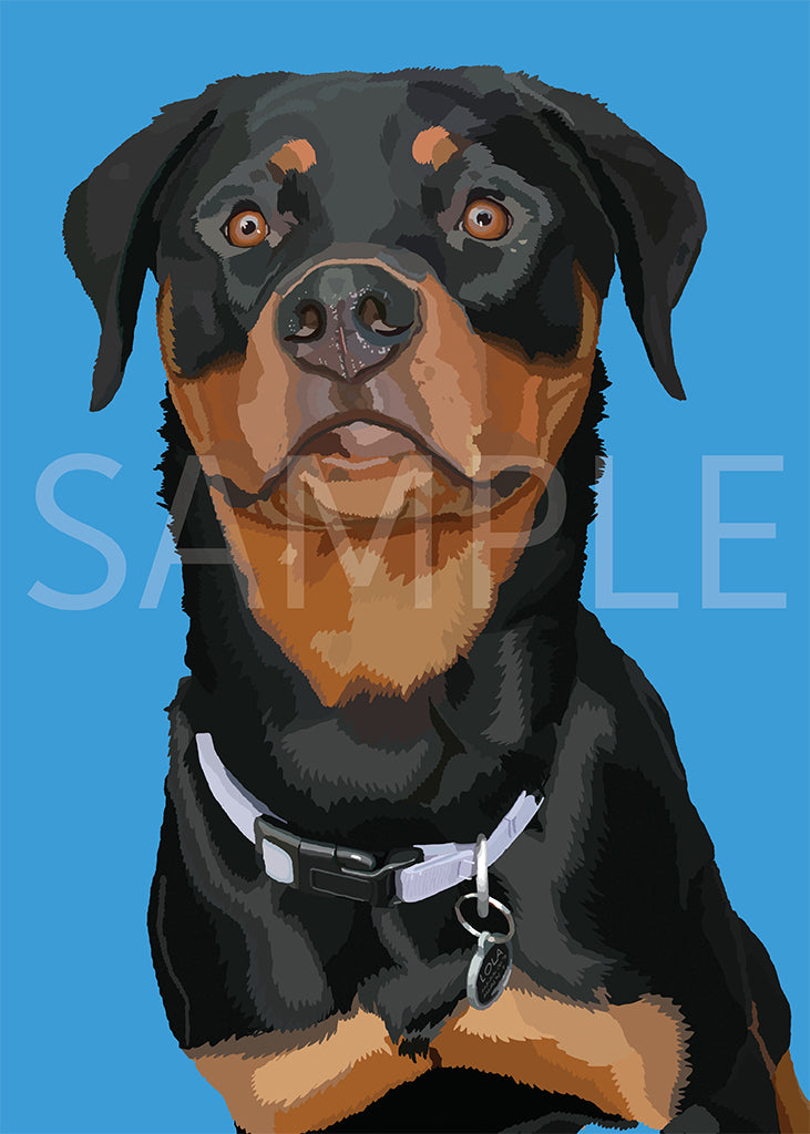 Rottweiler