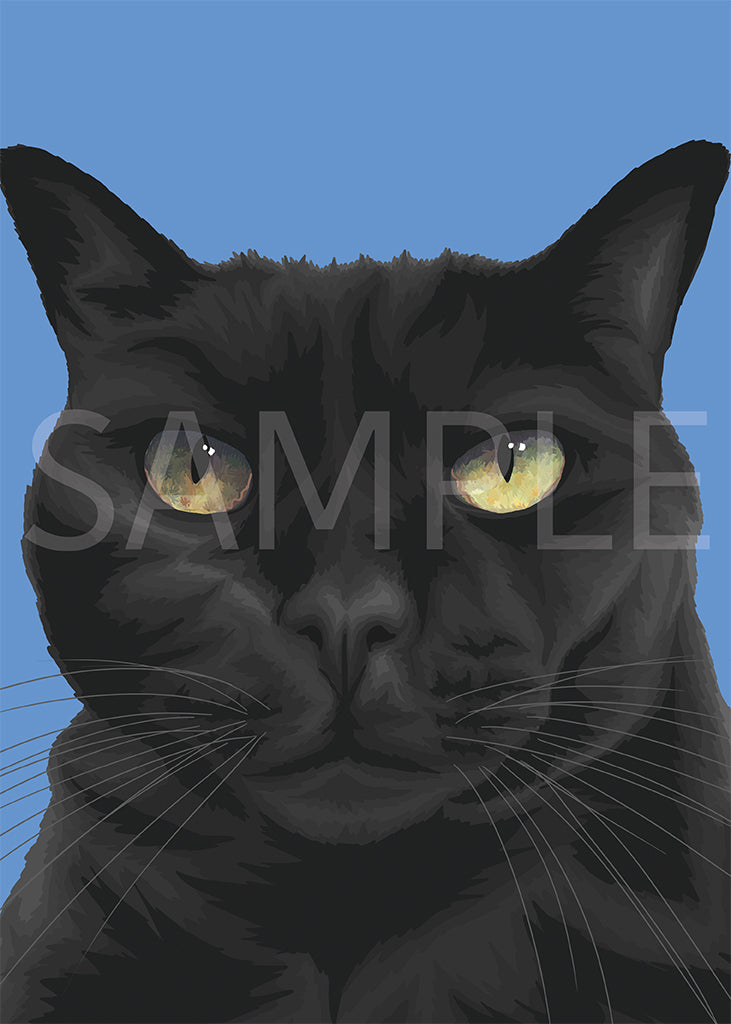 Black Cat on Blue Greeting Card (Ruby)