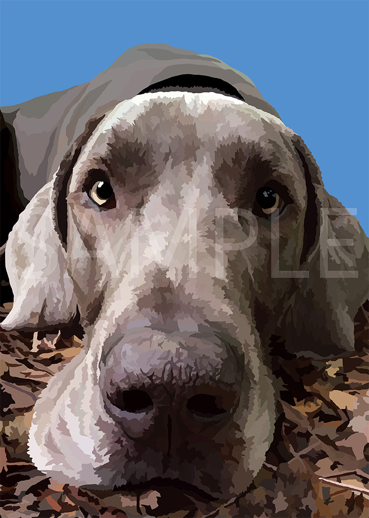 Great Dane