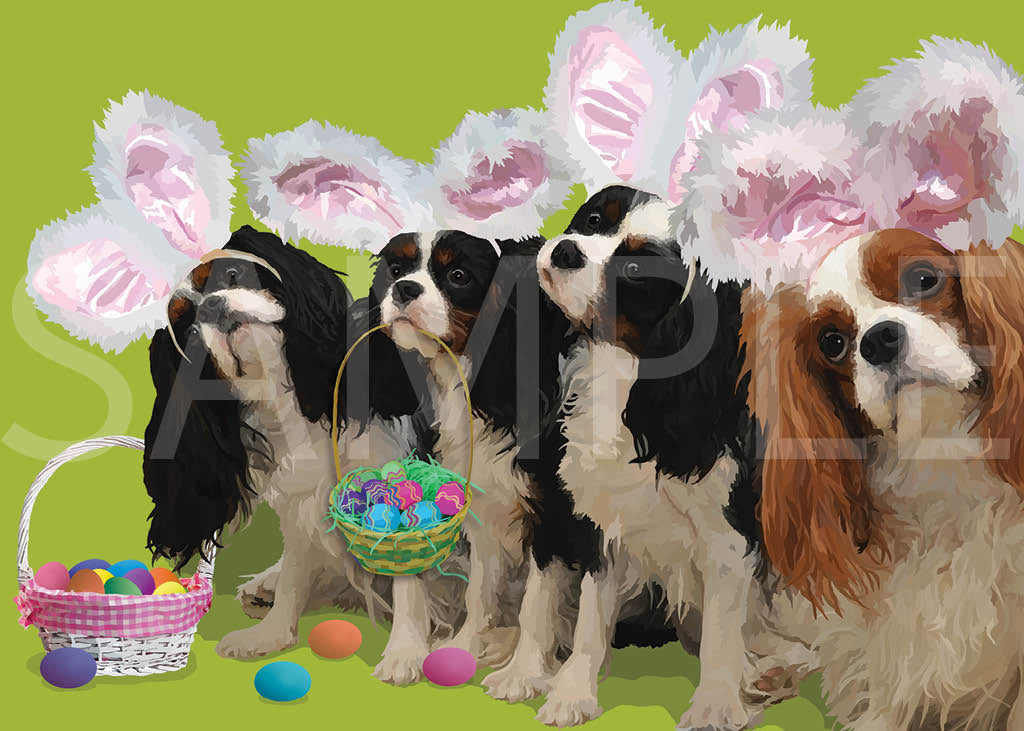 Cavalier King Charles Spaniel