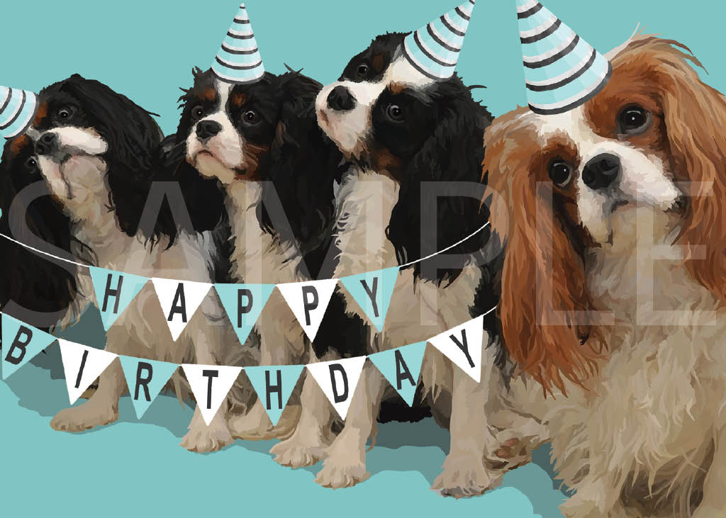 Cavalier King Charles Spaniel