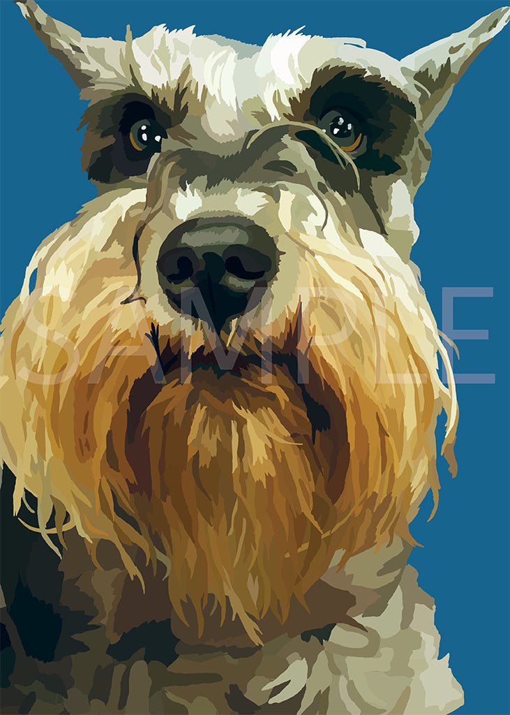 Schnauzer