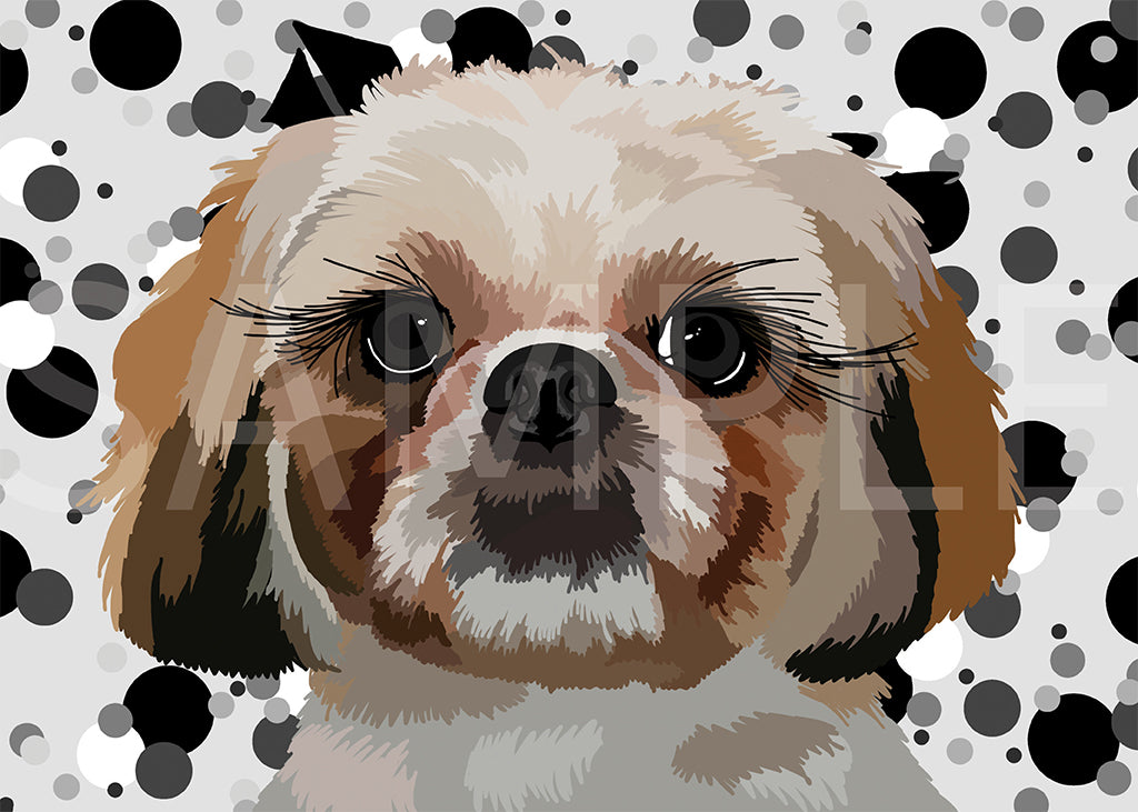 Shih Tzu