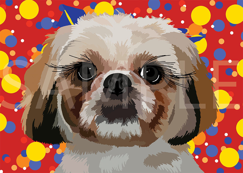 Shih Tzu