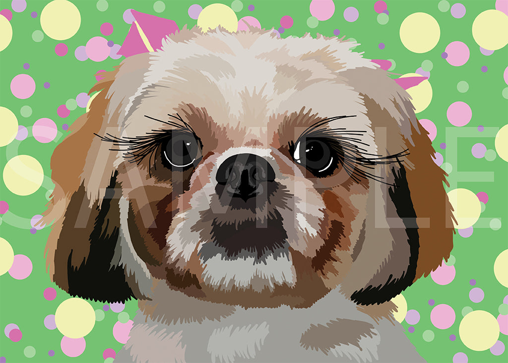 Shih Tzu