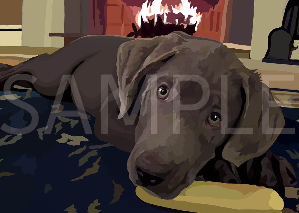 Labrador Retriever Silver