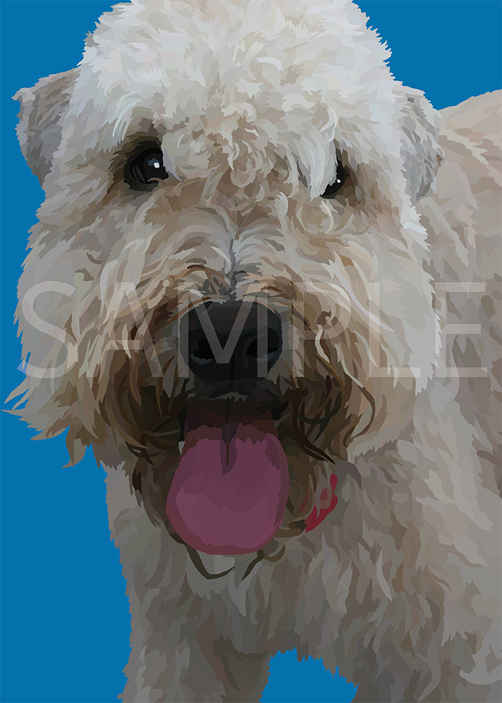Wheaten Terrier