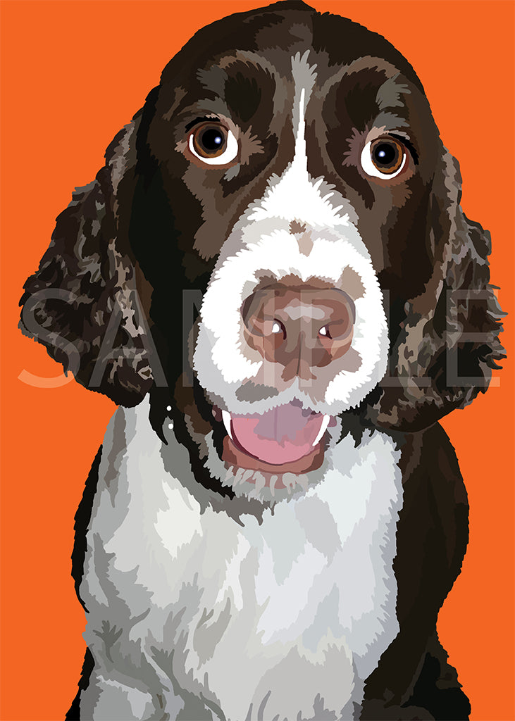 English Springer Spaniel