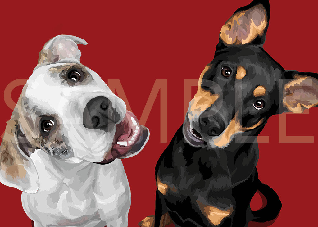 Catahoula-Bulldog Mix & German Shepherd-Pinscher Mix