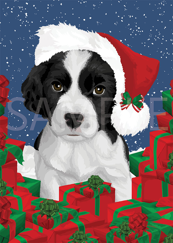 English Springer Spaniel