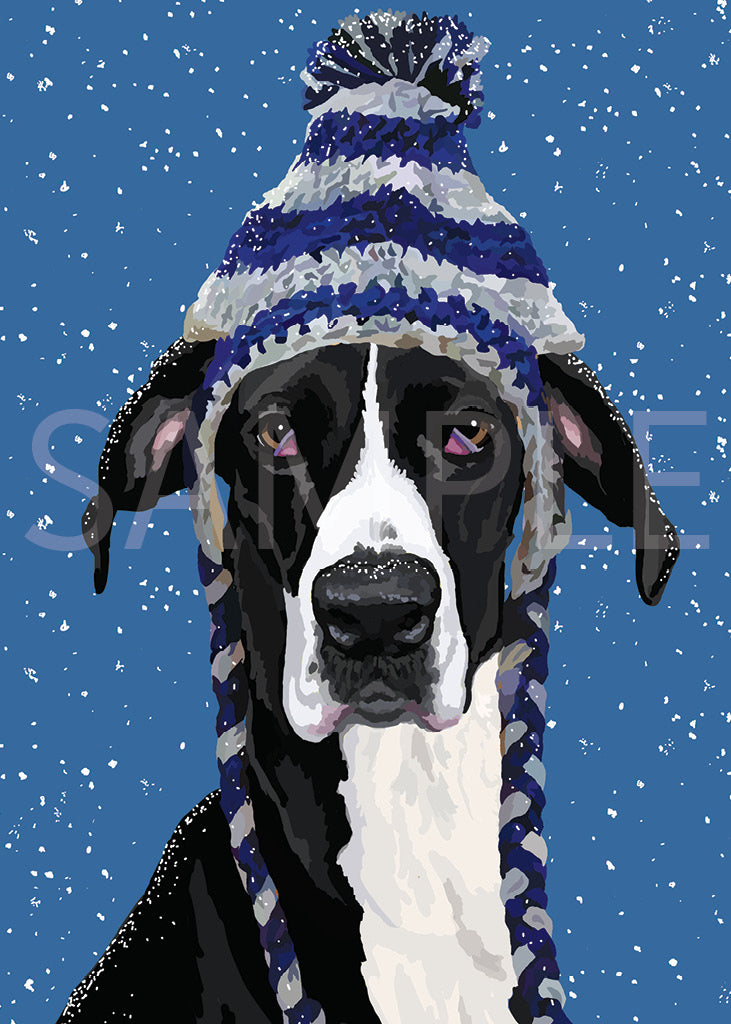Great Dane