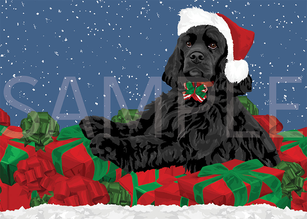 Cocker Spaniel Black