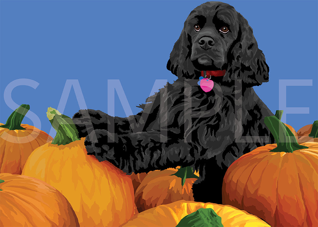 Cocker Spaniel Black