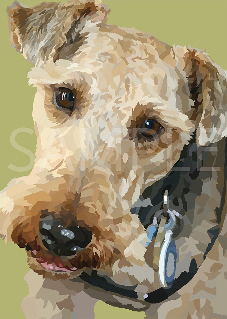 Welsh Terrier