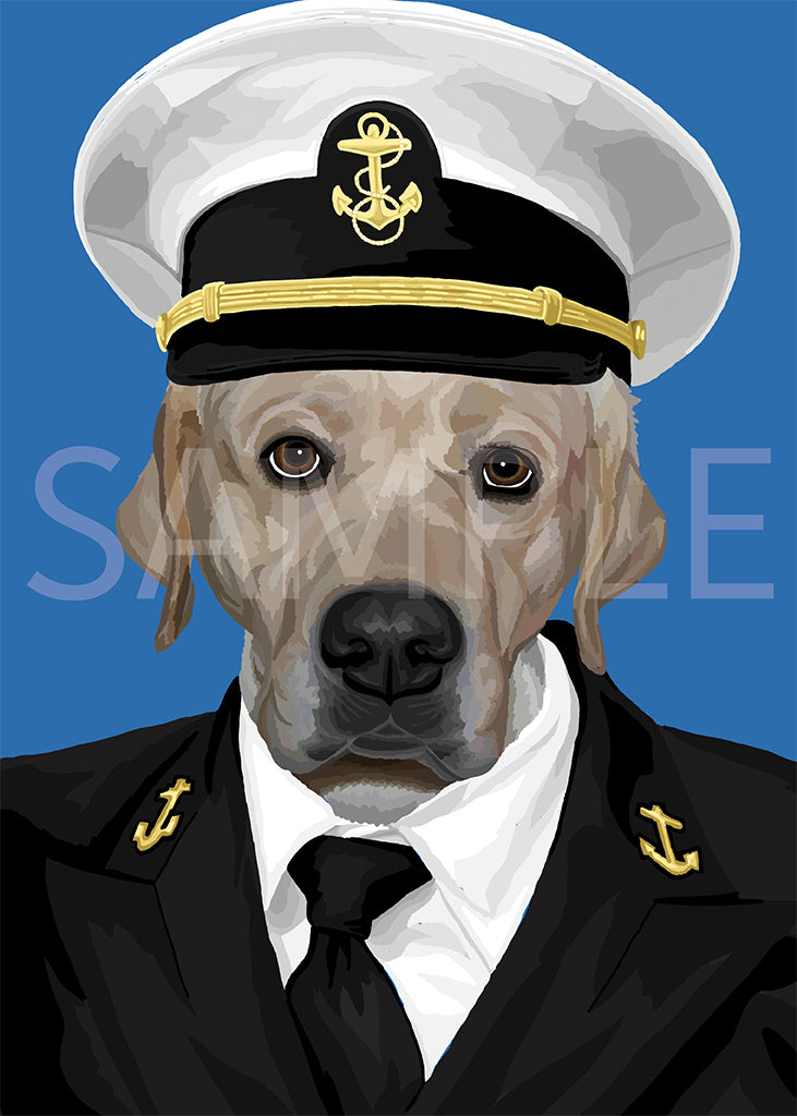 Labrador Retriever Yellow