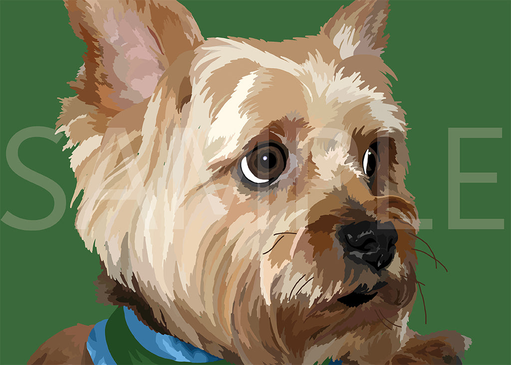 Yorkshire Terrier