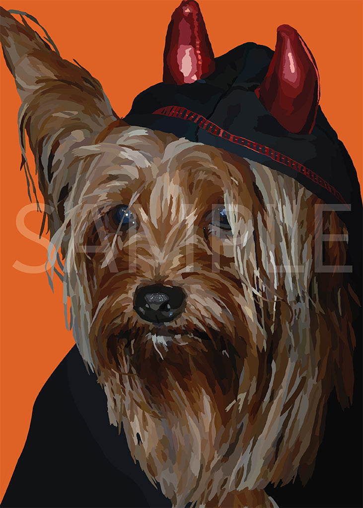Yorkshire Terrier