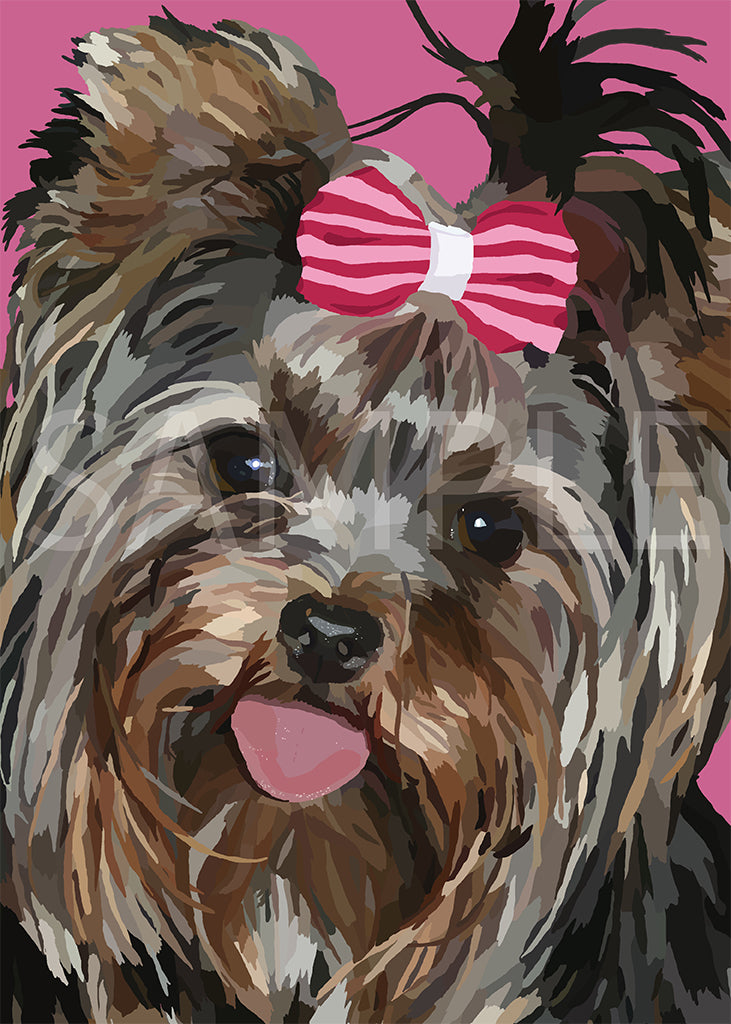 Yorkshire Terrier
