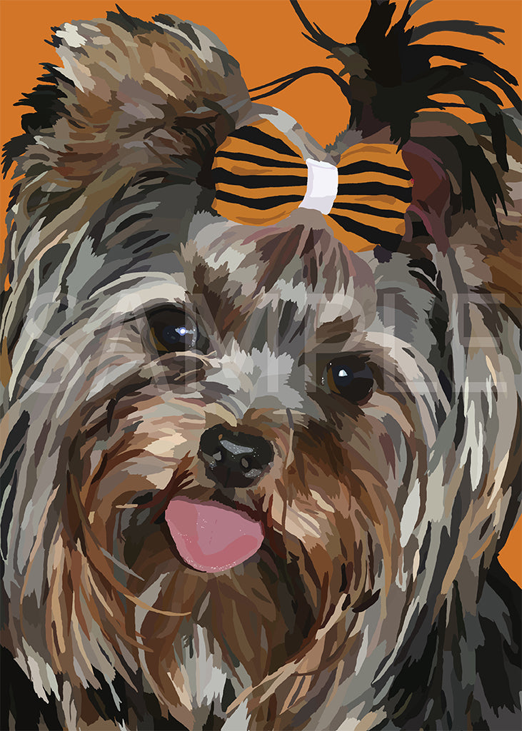 Yorkshire Terrier